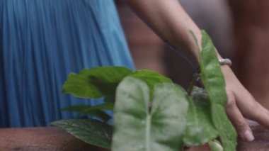 Mavi Elbiseli Kadın Bitkiye Dokunuyor Yağmurda Yapraklar