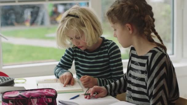 Domácí školství sourozenců kvůli Covid-19 — Stock video
