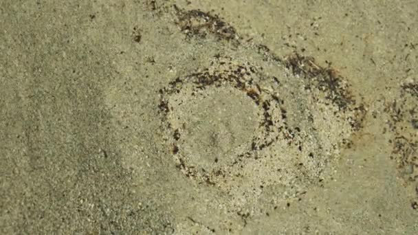 모래가 거품을 만드는 것처럼 땅에서 이동 — 비디오