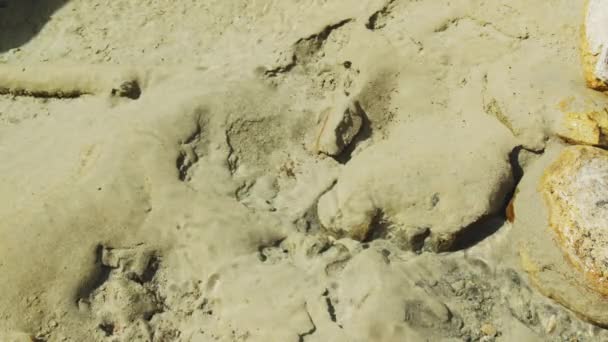 Κρύσταλλο καθαρό νερό και η κίνησή του και η θέα της άμμου από κάτω — Αρχείο Βίντεο