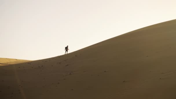 Man Walking Up Sand Dune In Desert — Videoclip de stoc