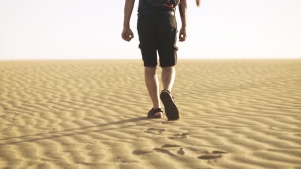 Férfi szandálban sétál a homokban — Stock videók