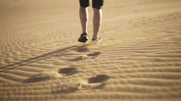 Man med ryggsäck promenader i sand i öknen — Stockvideo