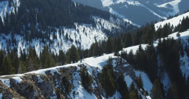 Majestuosa vista desde la cima de los picos de montaña nevados y los pinos — Vídeos de Stock