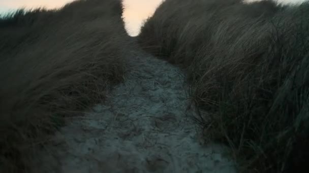 Sandstrand Vägen mellan gräs — Stockvideo