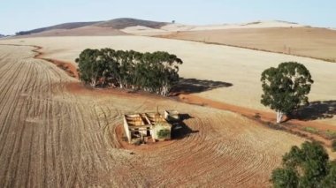 Terk Edilmiş Çiftlik Evi ve Çevresinde Ağaçlar