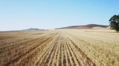 Afrika 'daki dağlık alanda yemyeşil tarlalar.