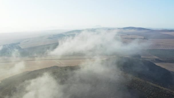 Vista del ojo de pájaro de la cima de los árboles forestales en el valle y el cielo azul en el fondo — Vídeos de Stock