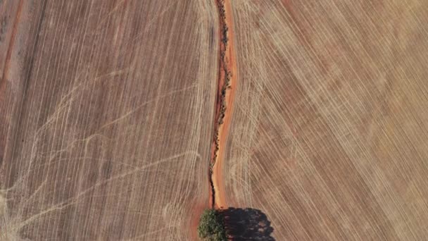 Vue aérienne du vaste horizon terrestre par une journée ensoleillée — Video