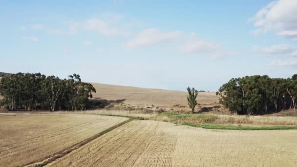 Фермерская земля, белые облака и голубое небо на окраине Африки — стоковое видео