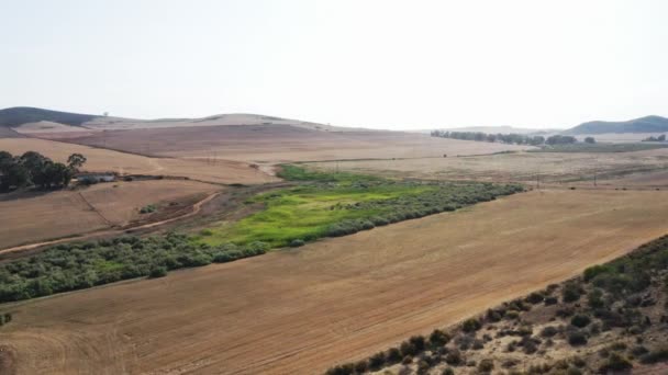 Aerial Shot of Trees, Crop Fields and Mountain Silhouette — стоковое видео