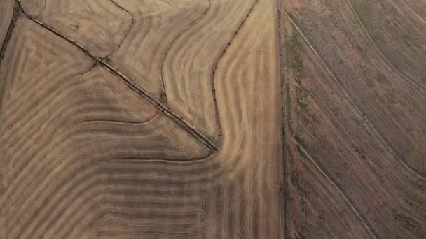 Vista magnífica de cima de Vast Land Horizon em um dia ensolarado — Vídeo de Stock