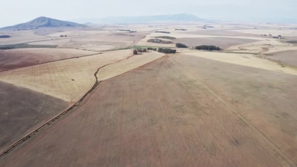 Gran campo agrícola junto al campo con vistas a la montaña — Vídeos de Stock