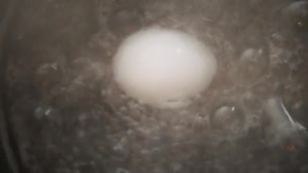 Αυγό στο βραστό νερό — Αρχείο Βίντεο