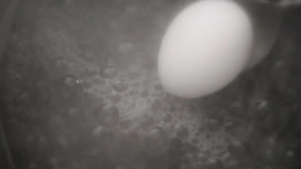 Huevo reducido a agua hirviendo — Vídeos de Stock