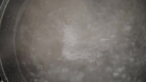 Ei in kochendes Wasser getaucht — Stockvideo