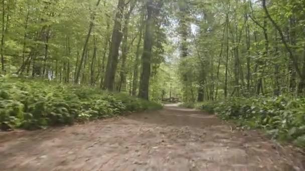 Spårning Skott av skogsstig och en kvinna Sprinting Längs vägen — Stockvideo