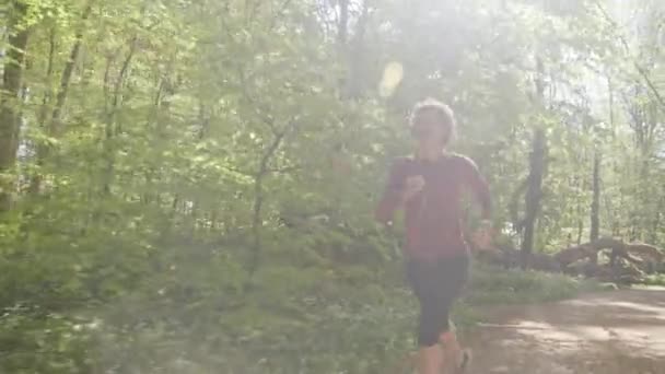 Stora trädstammen i Forest Floor och Woman Jogging i skogen — Stockvideo