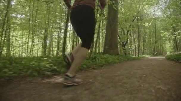 Uitzicht op de benen van de vrouw in zwarte legging Sprinting by the Side of the Forest Path — Stockvideo