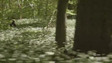 Ormanın ortasında Hızlı Koşan Kadın