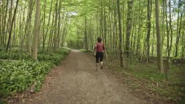 Shot of Woman 's Back neemt een ochtend jog langs het bos pad — Stockvideo