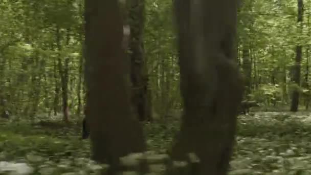 Saftiger grüner Wald, umgeben von Pflanzen und Bäumen und einer Frau, die schnell läuft — Stockvideo