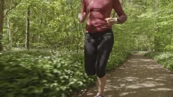 Sentiero della foresta vuota e rivelando una donna che corre nel sentiero della foresta — Video Stock