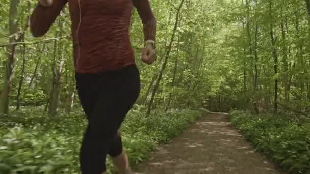 Chemin vide au milieu de la forêt verte luxuriante avec une femme faisant un jogging matinal 