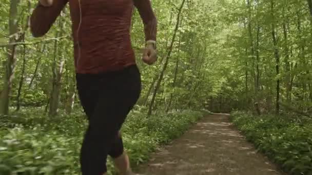Camino vacío en medio del exuberante bosque verde con una mujer dando un paseo matutino — Vídeos de Stock