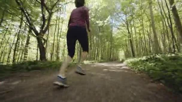 Mujer corriendo por el sendero del bosque y árboles que lo rodean — Vídeos de Stock