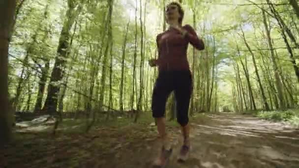 Mujer corriendo a lo largo del sendero en medio de los bosques y el rayo de sol en el fondo — Vídeos de Stock