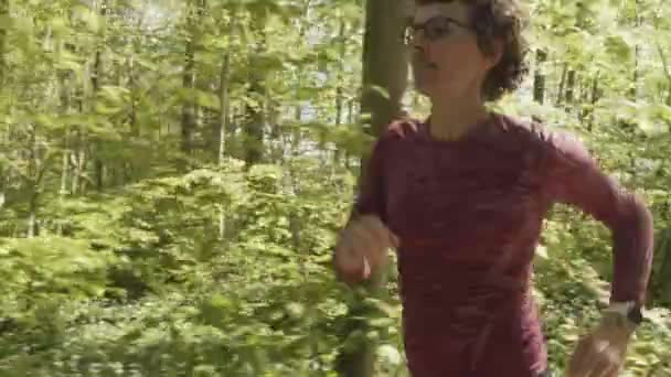 Rückwärtsschuss einer Frau, die zu einem frühen Lauf in den Wald geht — Stockvideo