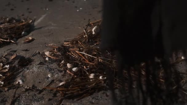 Женщина, использующая палку, чтобы копаться в палочках на влажном песке — стоковое видео