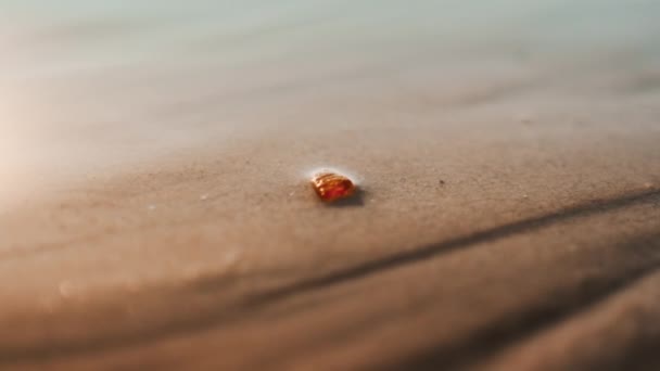 Tiro de la mano de un hombre recogiendo un pequeño ámbar enterrado en la playa — Vídeos de Stock