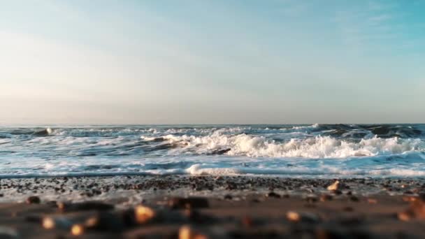 Fale na plaży Twego wybrzeża — Wideo stockowe