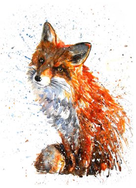 Fox watercolor predator clipart