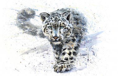Kar leoparı suluboya
