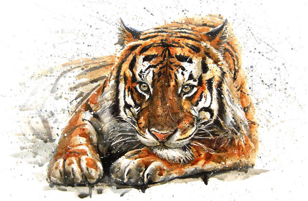 Tiger watercolor predator