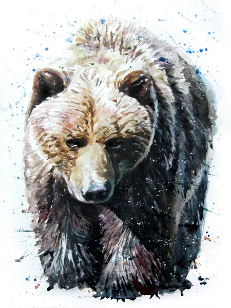 Bear watercolor predator Royalty Free Stock Images