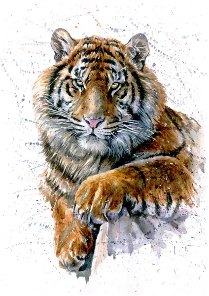 Tiger Aquarell Tiere Raubtier Tierwelt Malerei — Stockfoto