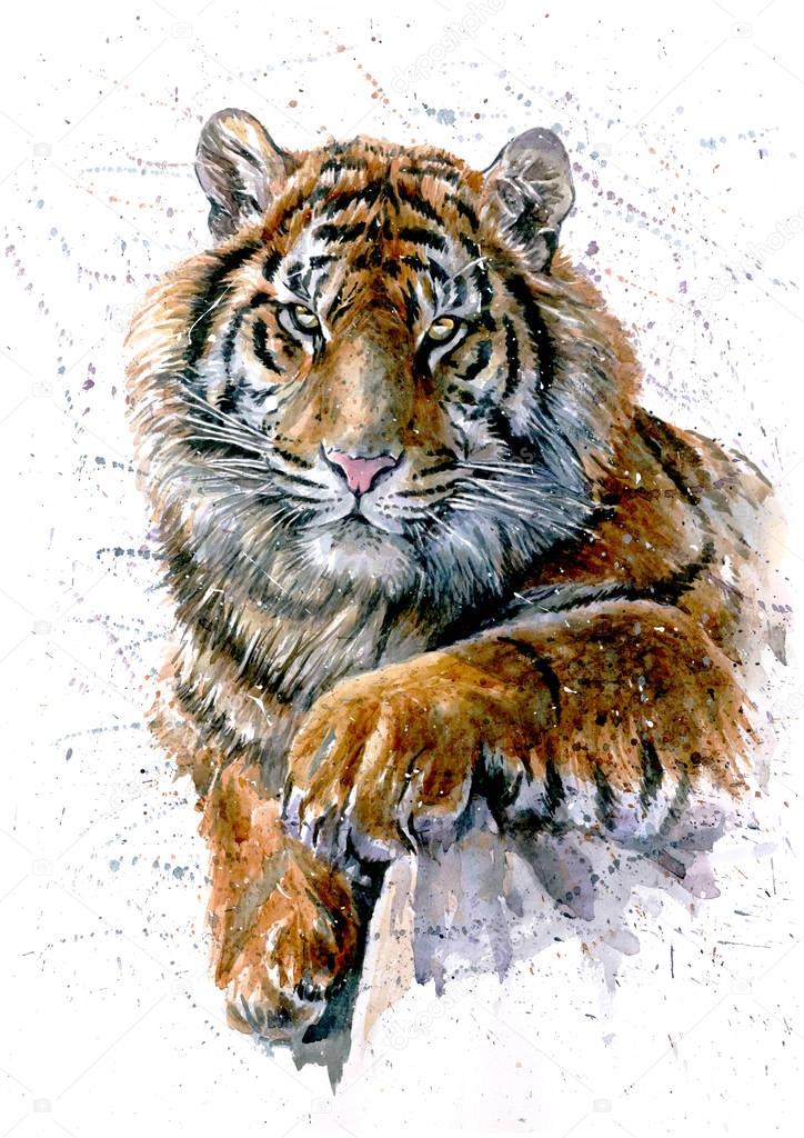 Tiger, watercolor, animals, predator, wildlife, painting