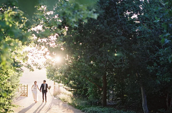 Newlyweds walking on rural road — Stock Photo, Image