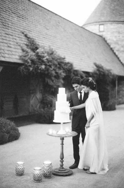 Novio y novia corte pastel de boda —  Fotos de Stock