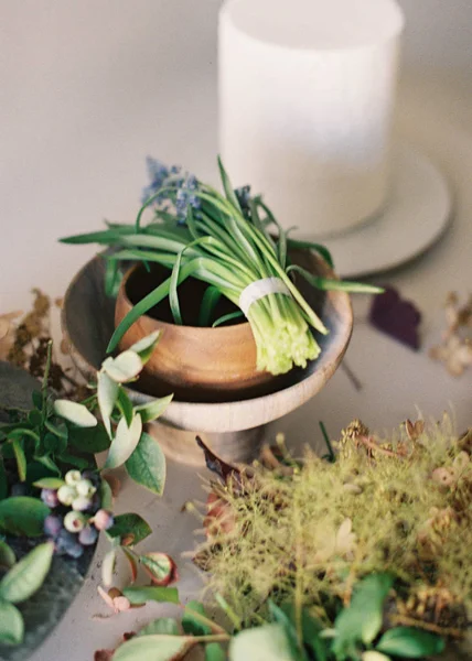 Flores y plantas frescas cortadas — Stock Photo