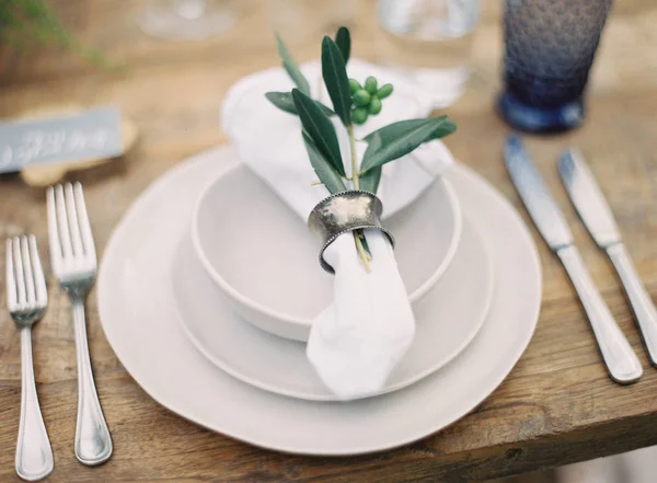 Serviette décorée avec des plantes — Photo de stock