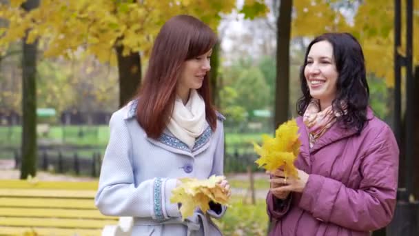 Две женщины разговаривают в осеннем парке — стоковое видео
