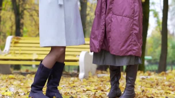 Duas mulheres conversando no parque de outono — Vídeo de Stock