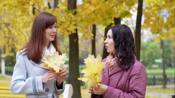 Duas mulheres conversando no parque de outono — Vídeo de Stock