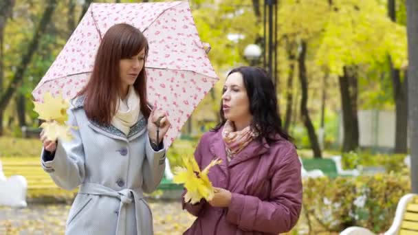 Dos mujeres hablando en el parque de otoño — Vídeos de Stock