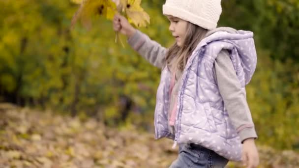 Chica recoge hojas caídas de otoño — Vídeos de Stock